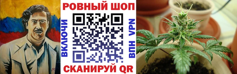 Цена Благодарный Псилоцибиновые грибы Бошки Шишки АМФ МЕФ ГАШИШ
